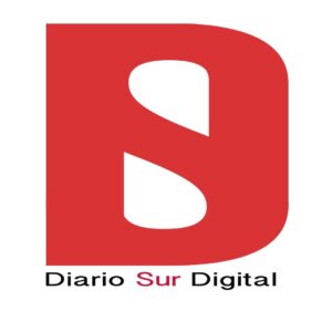 Diario Sur Digital Diario Sur Digital
